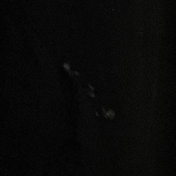 J. Crew Sleeveless Top - Picture 4 of 5